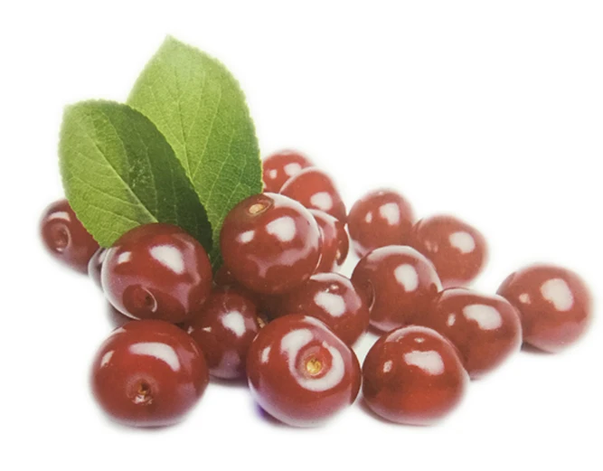 Natural VC17% Acerola Cherry Extract Acerola Cherry Extract Powder